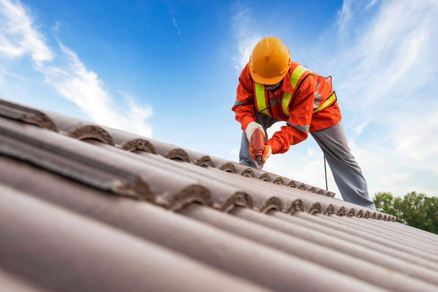 Renovation Services